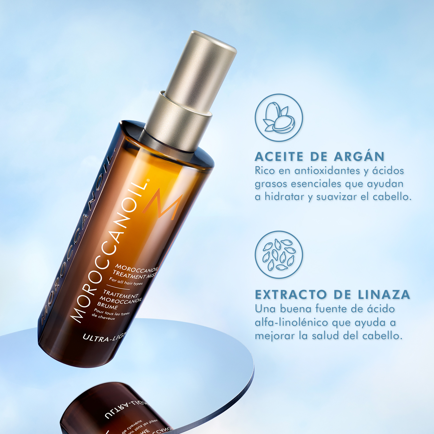 TREATMENT MIST (BRUMA CAPILAR)